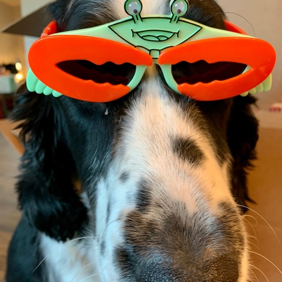 Meet your Posher, Mallory - Picture 1 of 1